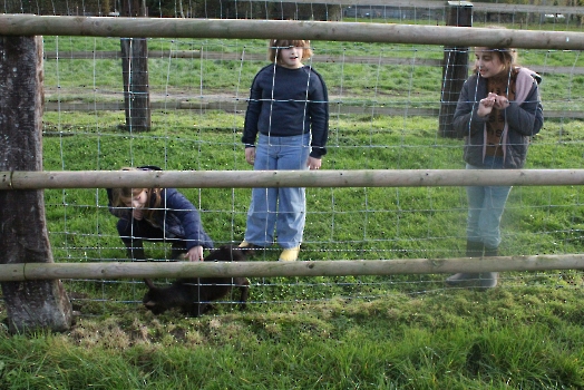 Boerderijklassen 2022 deel1_145