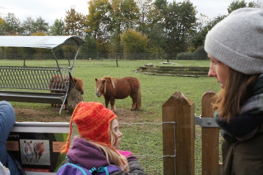 Boerderijklassen 2022 deel1_78