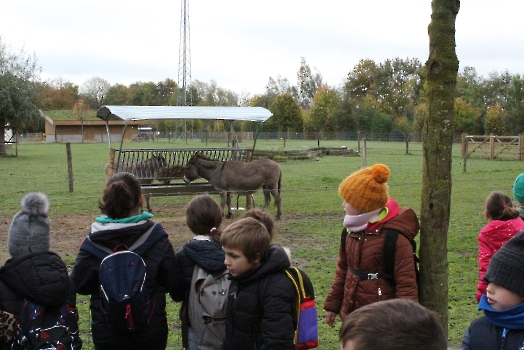 Boerderijklassen 2022 deel1_83