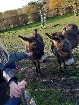 Boerderijklassen deel 1_49