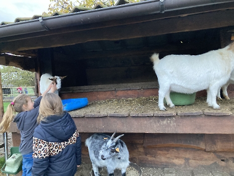 Boerderijklassen deel 1_57