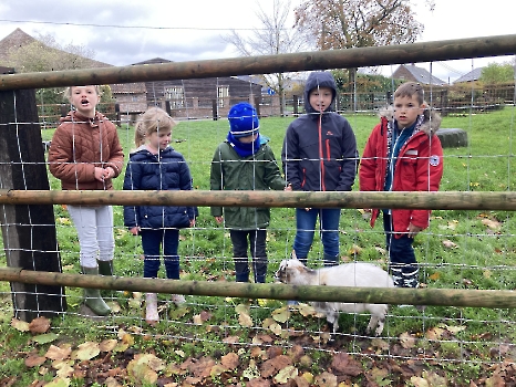 Boerderijklassen deel 1_70