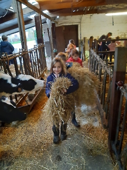 Boerderijklassen deel 1_96