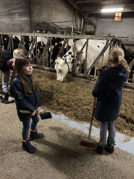 Boerderijklassen deel 2_116