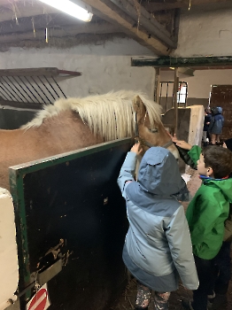 Boerderijklassen deel 2_141