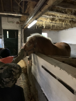 Boerderijklassen deel 2_143