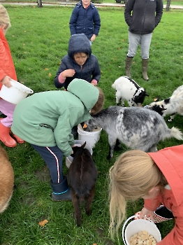 Boerderijklassen deel 2_146