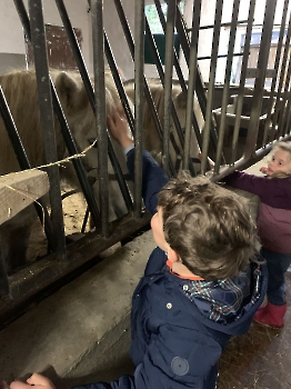 Boerderijklassen deel 2_161