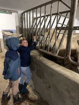 Boerderijklassen deel 2_163