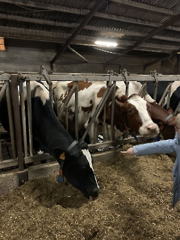 Boerderijklassen deel 2_84