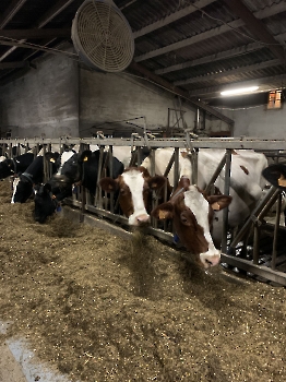 Boerderijklassen deel 2_87