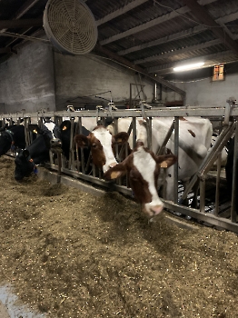 Boerderijklassen deel 2_88