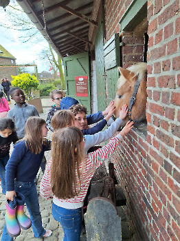 Boerderij deel 3_100