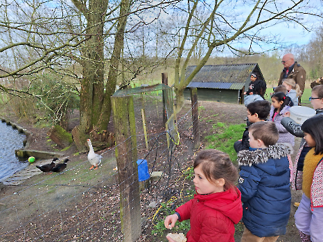 Boerderij deel 3_116