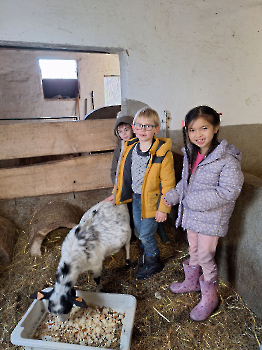 Boerderij deel 3_119