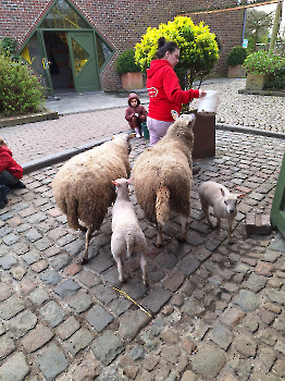 Boerderij deel 3_125