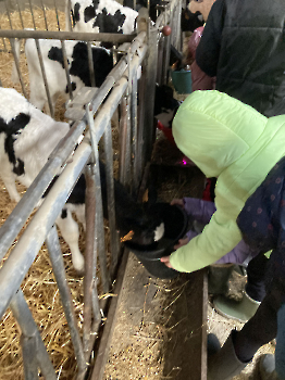 Boerderij deel 3_135