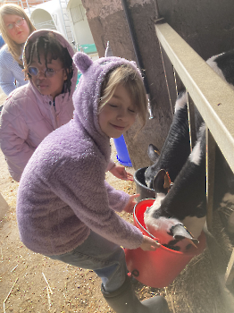 Boerderij deel 3_136