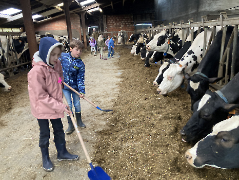 Boerderij deel 3_138