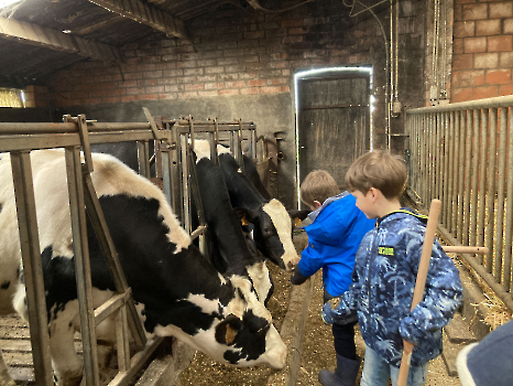 Boerderij deel 3_140