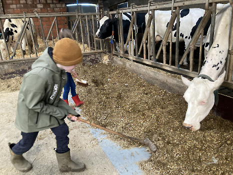 Boerderij deel 3_141