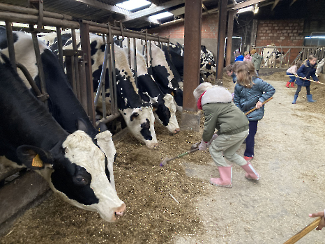 Boerderij deel 3_144