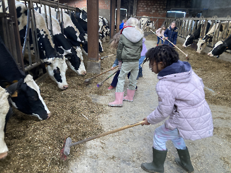 Boerderij deel 3_145