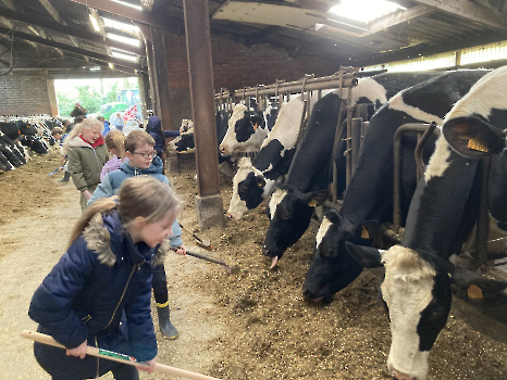 Boerderij deel 3_146