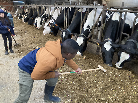 Boerderij deel 3_149