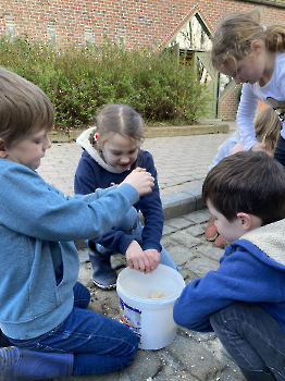 Boerderij deel 3_15