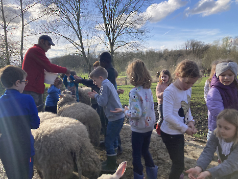 Boerderij deel 3_169