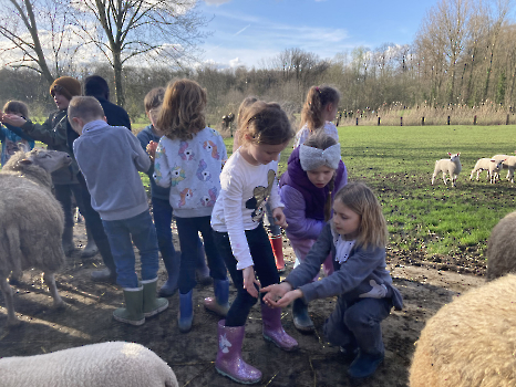 Boerderij deel 3_170