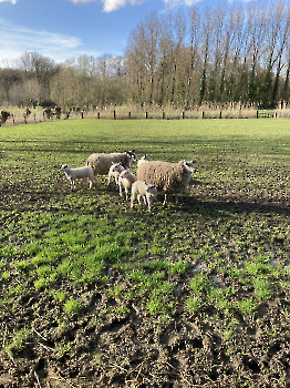 Boerderij deel 3_18