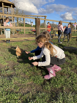 Boerderij deel 3_1