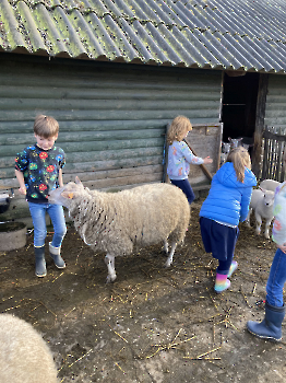 Boerderij deel 3_20