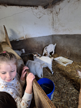 Boerderij deel 3_214