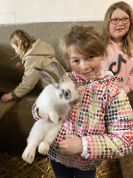 Boerderij deel 3_221