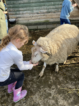 Boerderij deel 3_23