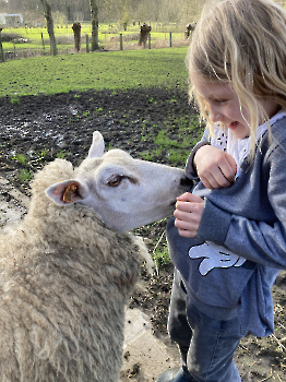 Boerderij deel 3_24