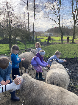 Boerderij deel 3_25