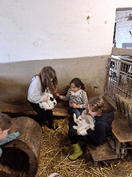 Boerderij deel 3_33