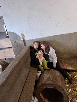 Boerderij deel 3_39