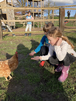 Boerderij deel 3_3