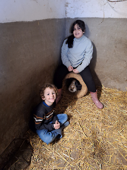 Boerderij deel 3_40