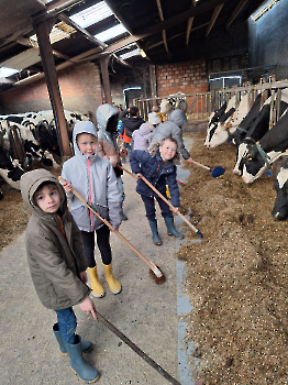 Boerderij deel 3_54