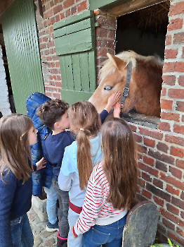 Boerderij deel 3_97