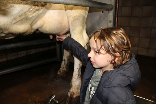 Boerderijklassen deel 1_104