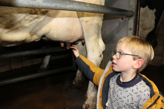 Boerderijklassen deel 1_107