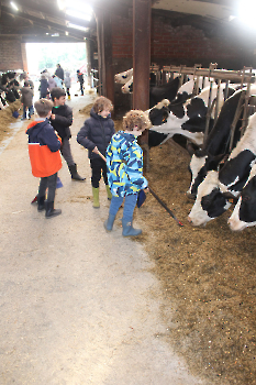 Boerderijklassen deel 1_24