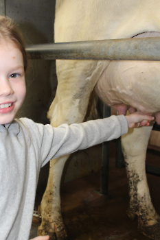 Boerderijklassen deel 1_31